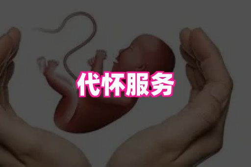 乐乐助孕网 4